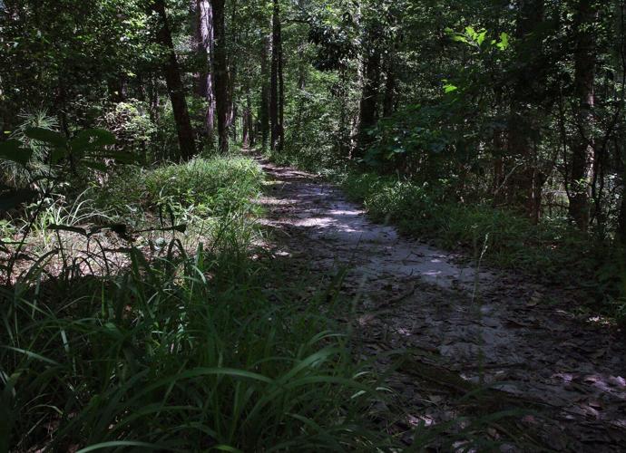 PHOTOS Slocum Creek Trail Old Grist Mill Dam Local News