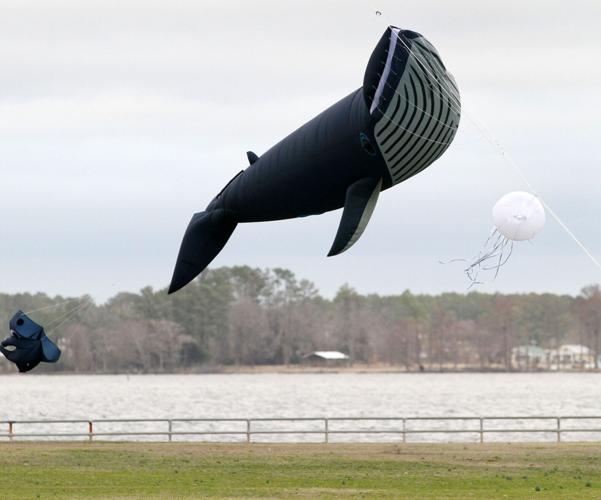 PHOTOS Go Fly a Kite Local News