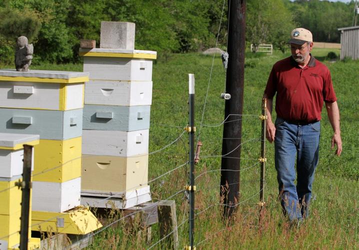 PHOTOS Turkey Quarter Creek Apiary Local News