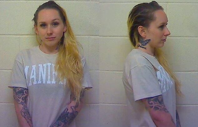 Traffic stop leads to arrest of two individuals, charges include felony ...