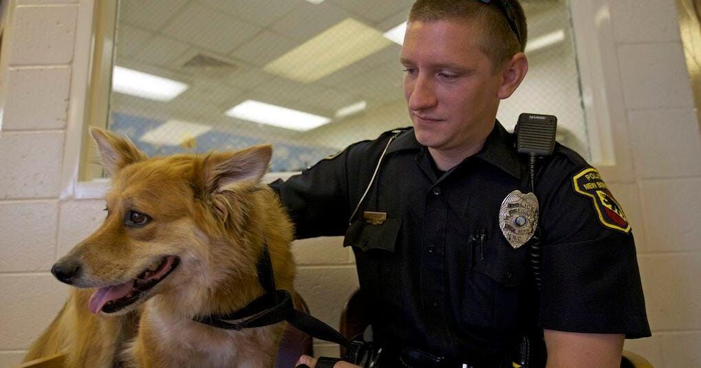 Goodwill Animals Animal abandoned at Goodwill | Local News | newbernsj.com