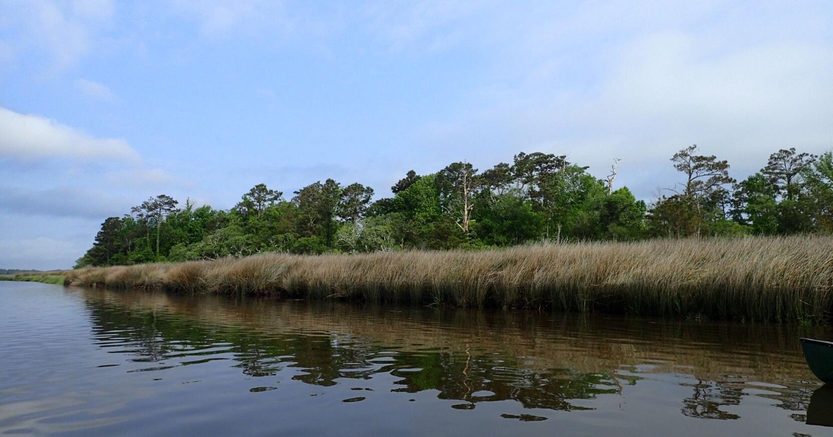 North Carolina Coastal Land Trust initiates conservation partnership along the Newport River - Vimarsana News