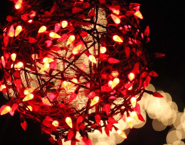 PHOTOS Enchanting Christmas Lights of Canterbury Entertainment