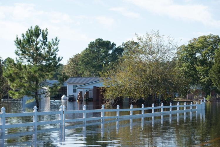 Flooding in Vanceboro Local News