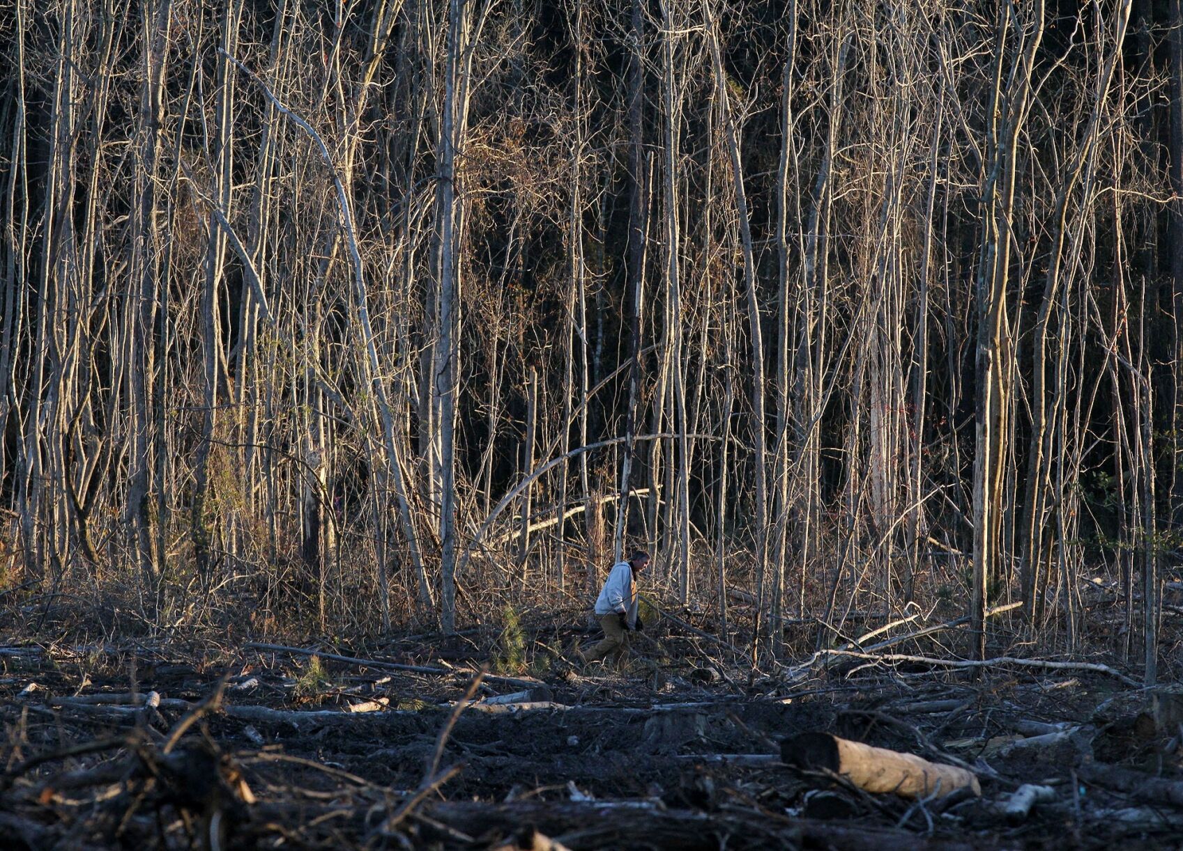 Toler Rd PHOTOS: Missing Child | Local News | newbernsj.com