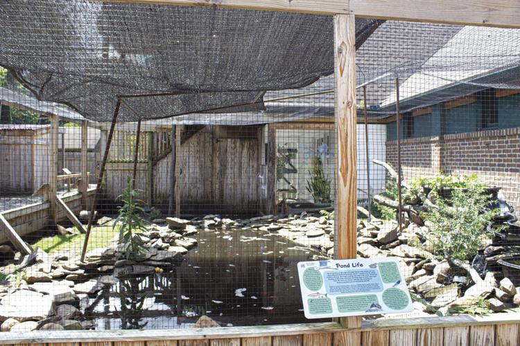 Last Chance Connecticut Summer at the Museum program ending soon News