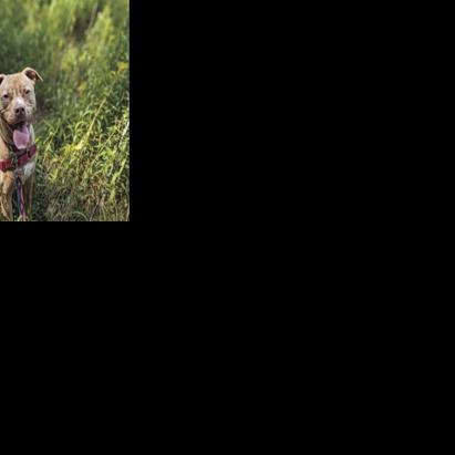 Pet of the Week: Ruby | News