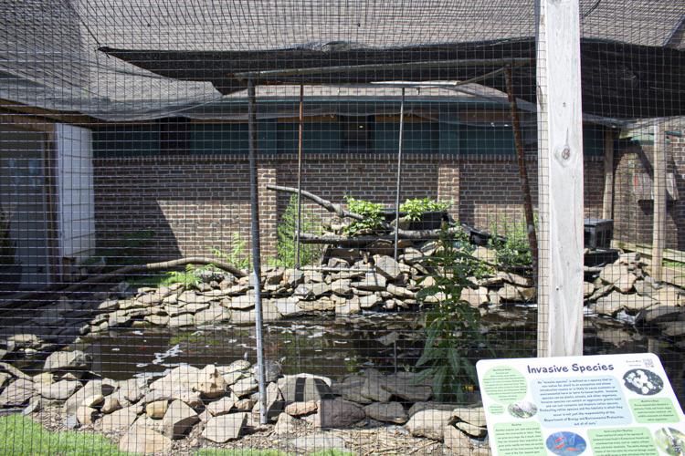 Last Chance Connecticut Summer at the Museum program ending soon News