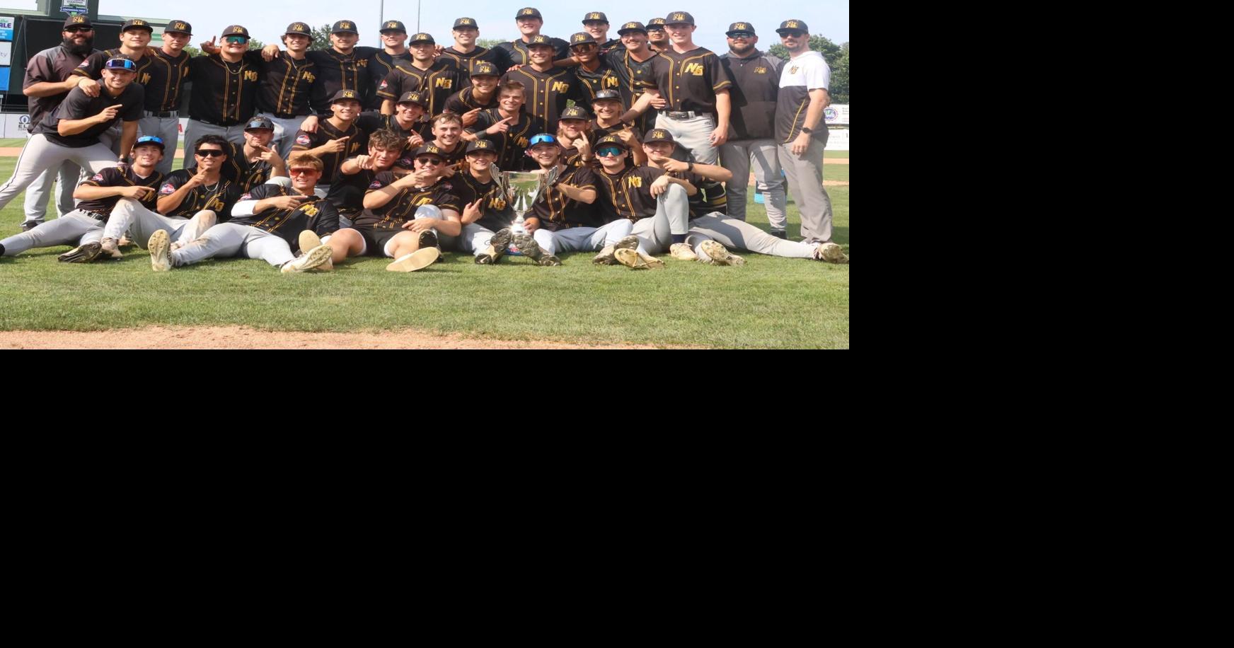 CHAMPS! Bees dominate Vermont to capture first-ever Futures League ...