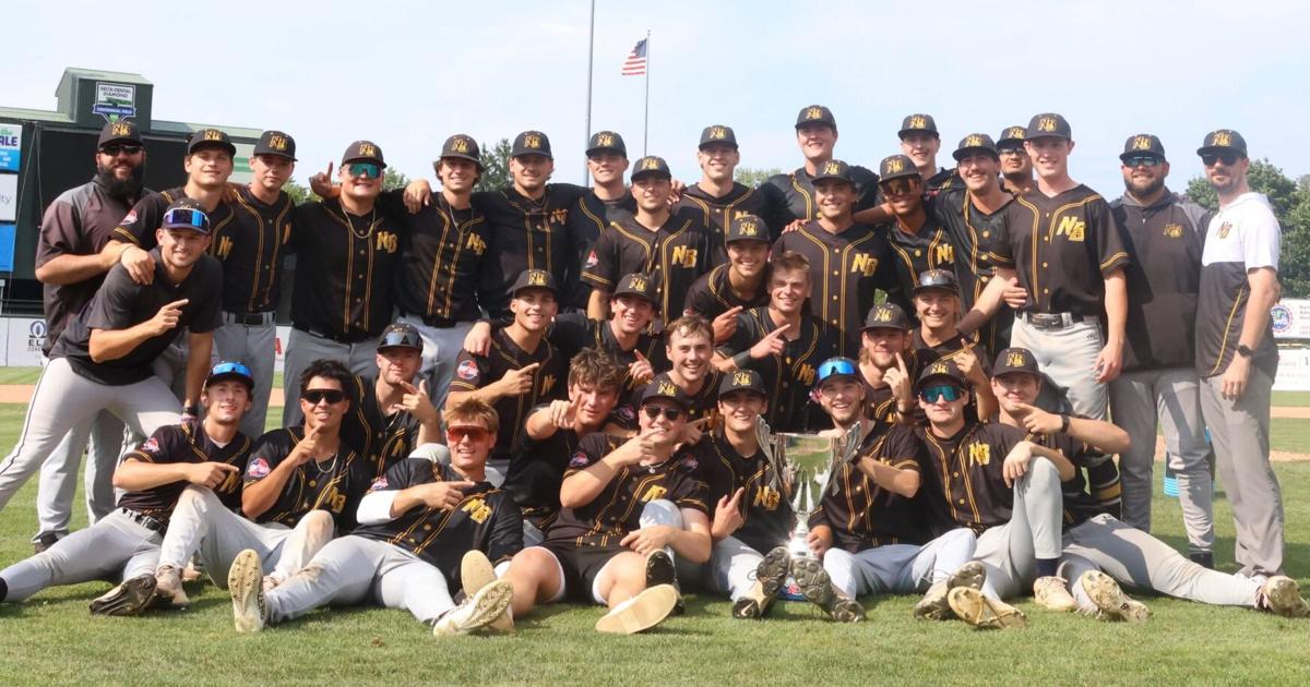 CHAMPS! Bees dominate Vermont to capture first-ever Futures League ...