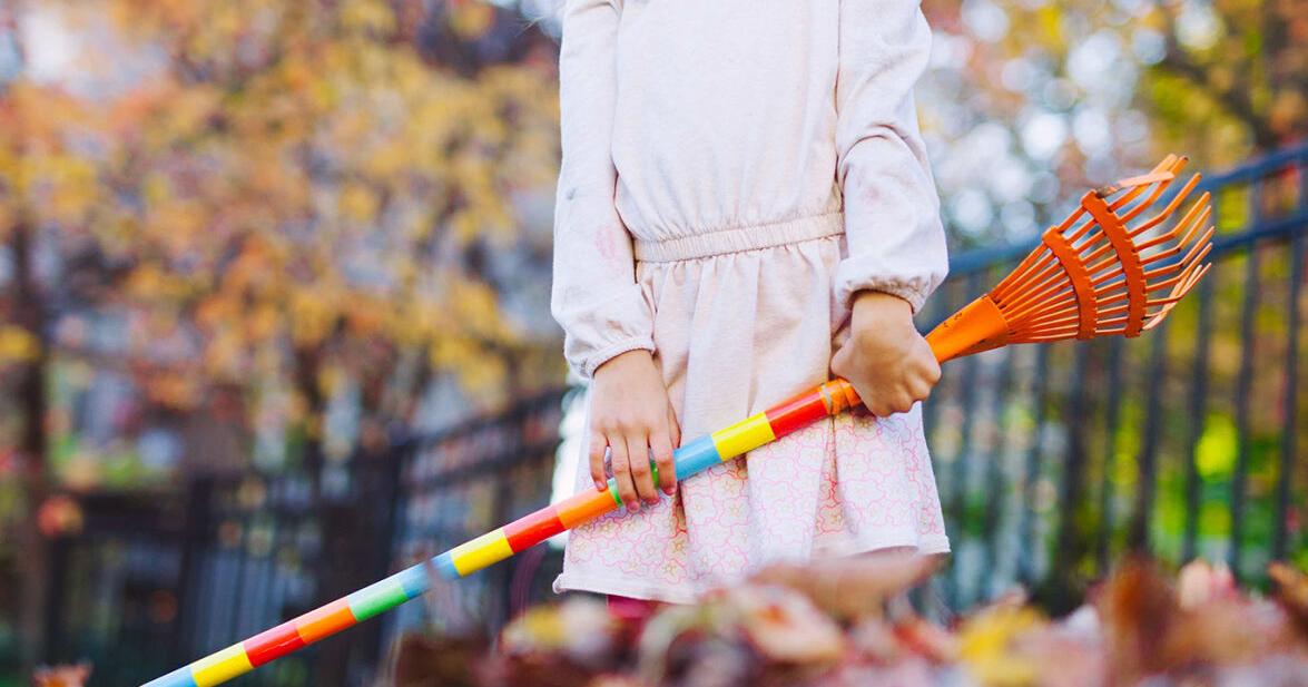 Best practices for safe and efficient leaf raking | News ...