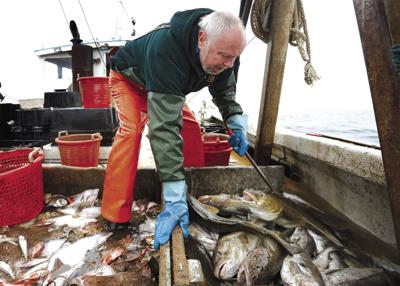 Haddock Overfishing