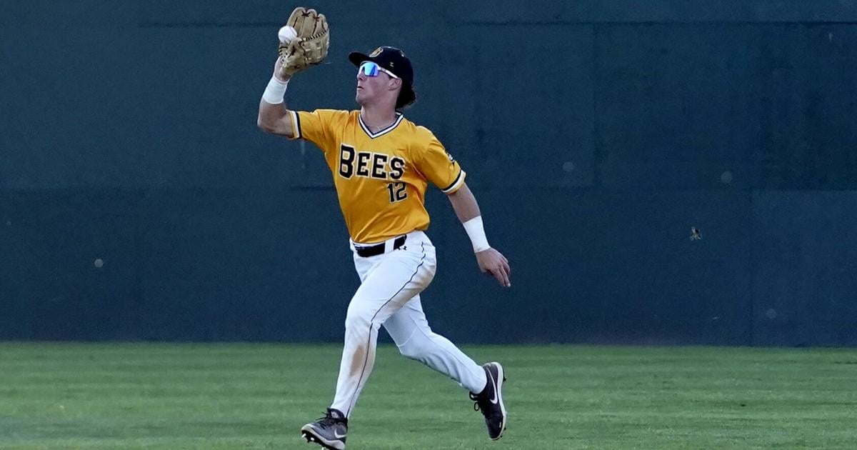 Bees earn Sunday double-header sweep against Bravehearts