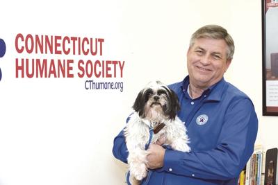 Connecticut Humane Society partners with Aiello Home Services