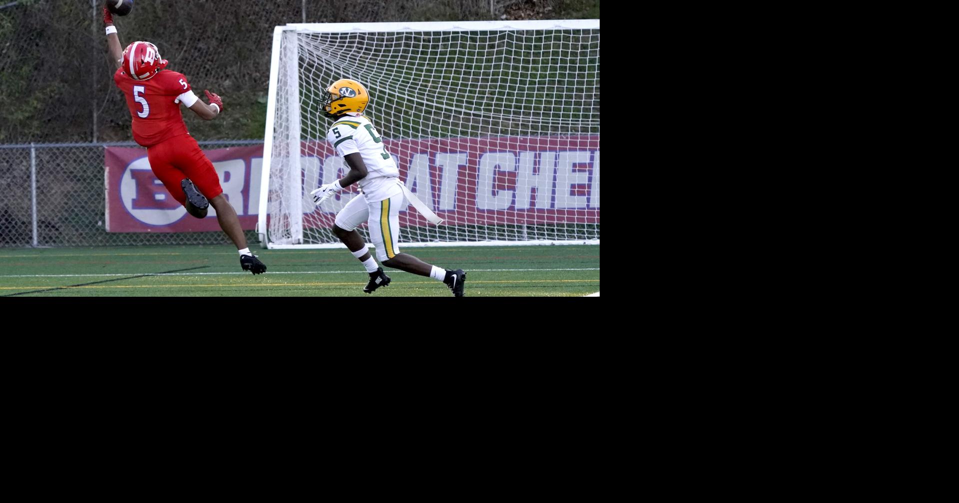 Puzio, Rio, Balicki lead Berlin past Platt Tech in first-round of Class M playoffs