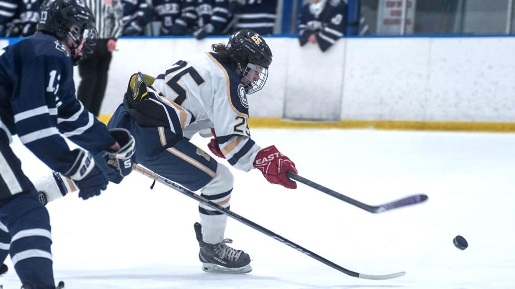 Newington coop hockey preview for 20242025 season Sports