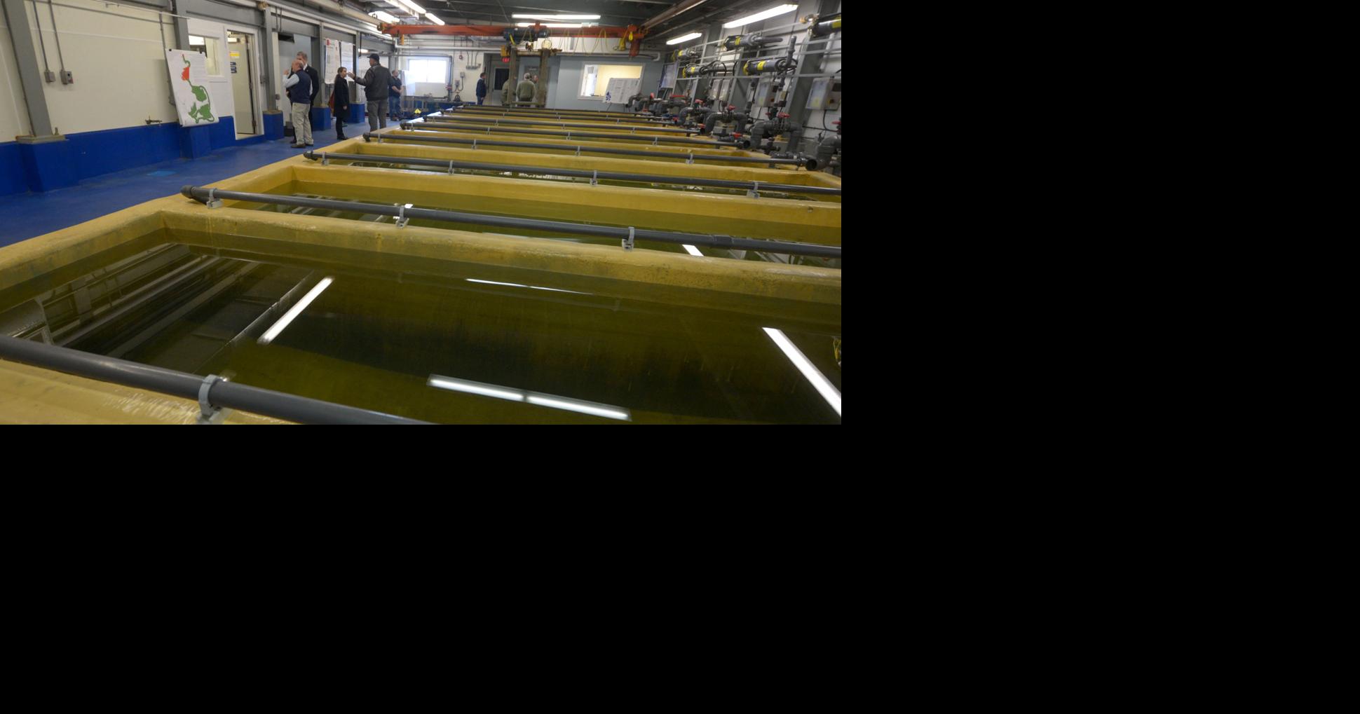 SLIDESHOW:Project Completion at Shellfish Plant | Multimedia ...