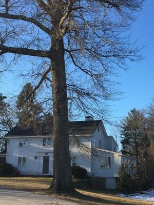 Salisbury Council On Aging News And Information Portal