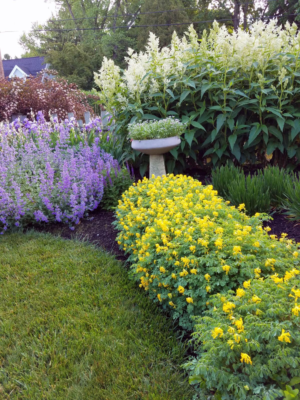 gardens_4.jpg