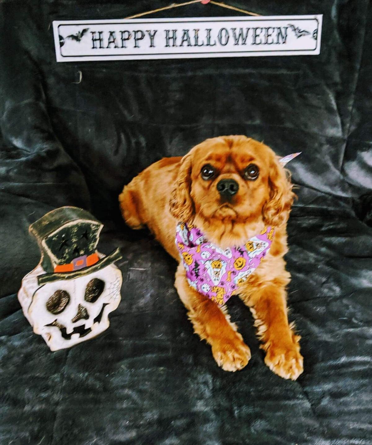 Get your spook on and send us your photos