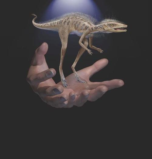 Fossils Reveal Dinosaur Forerunner Smaller Than A Cellphone National News Newburyportnews Com