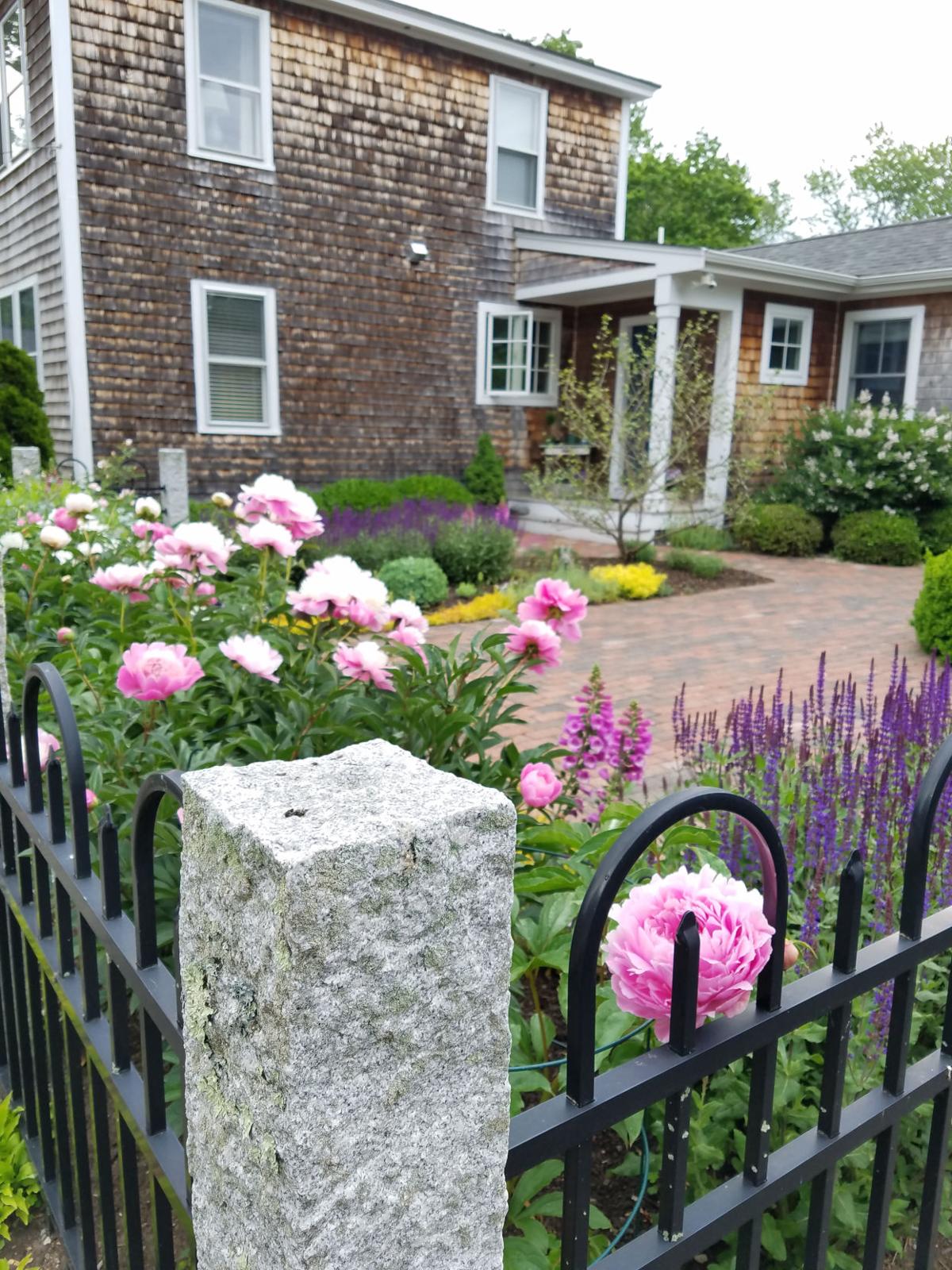 SLIDESHOW Newburyport Horticultural Society virtual garden tour