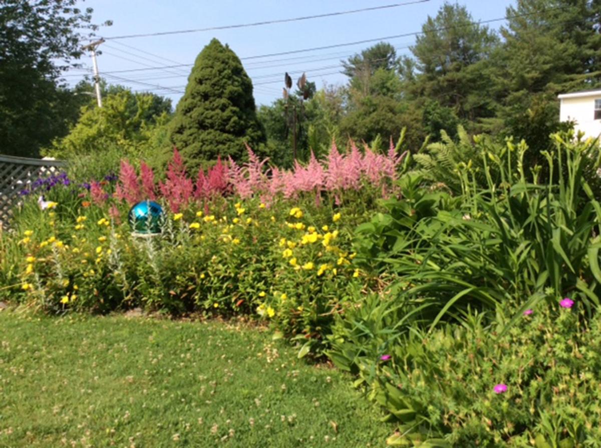 gardens_6.jpeg