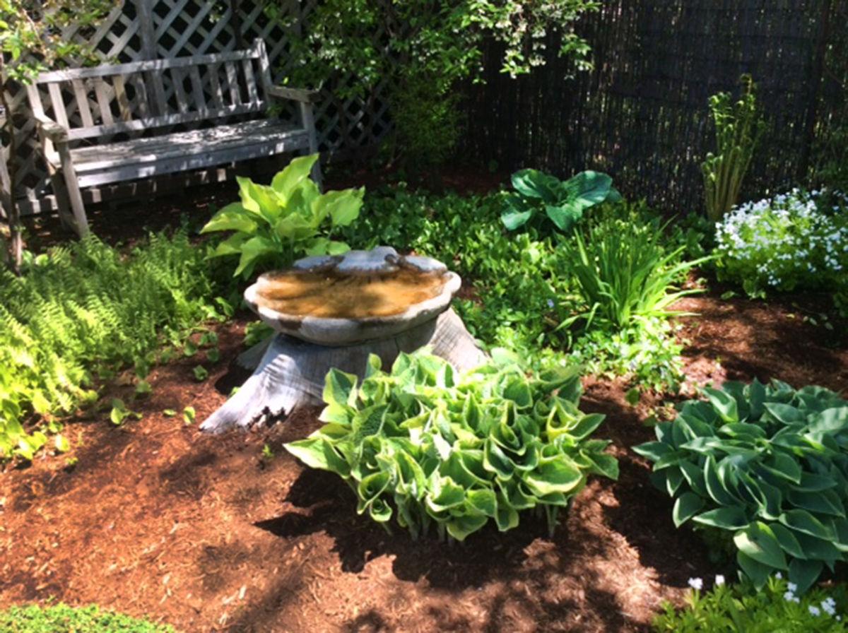 gardens_7.jpeg
