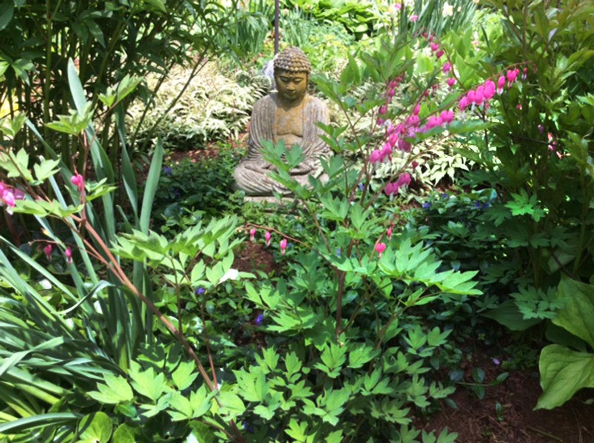 gardens_8.jpeg