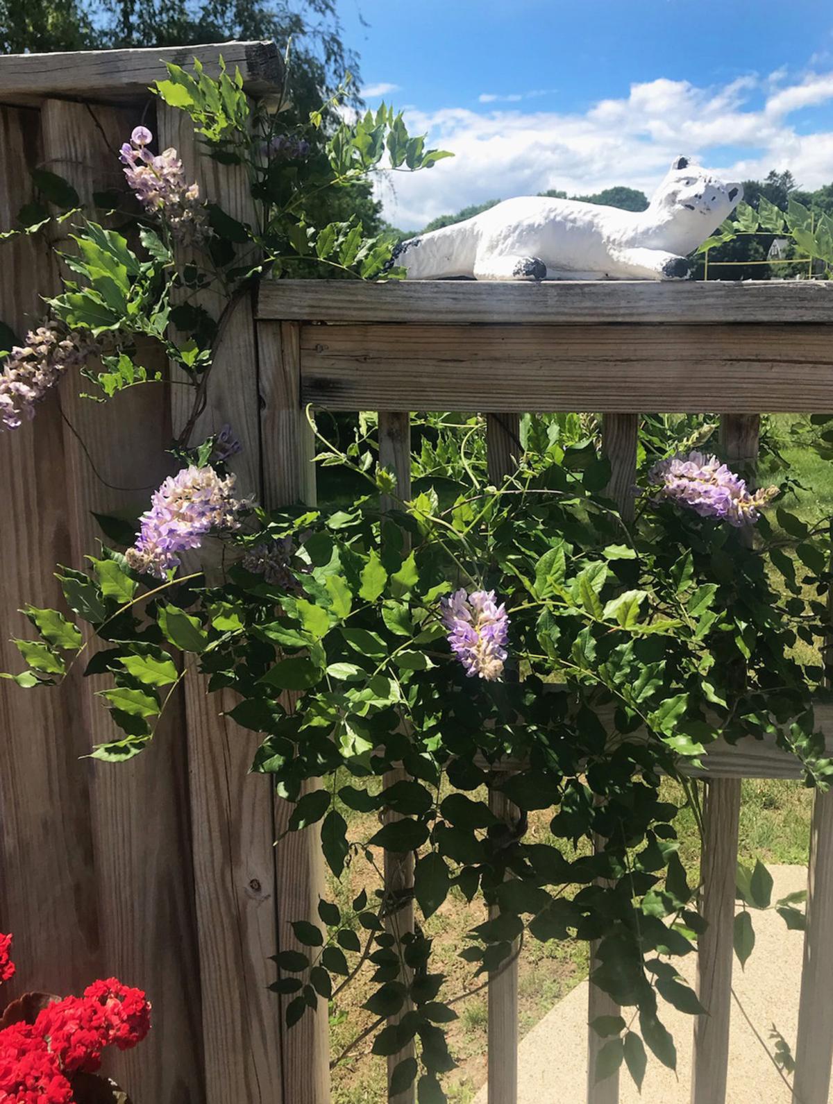 gardens_9.jpg