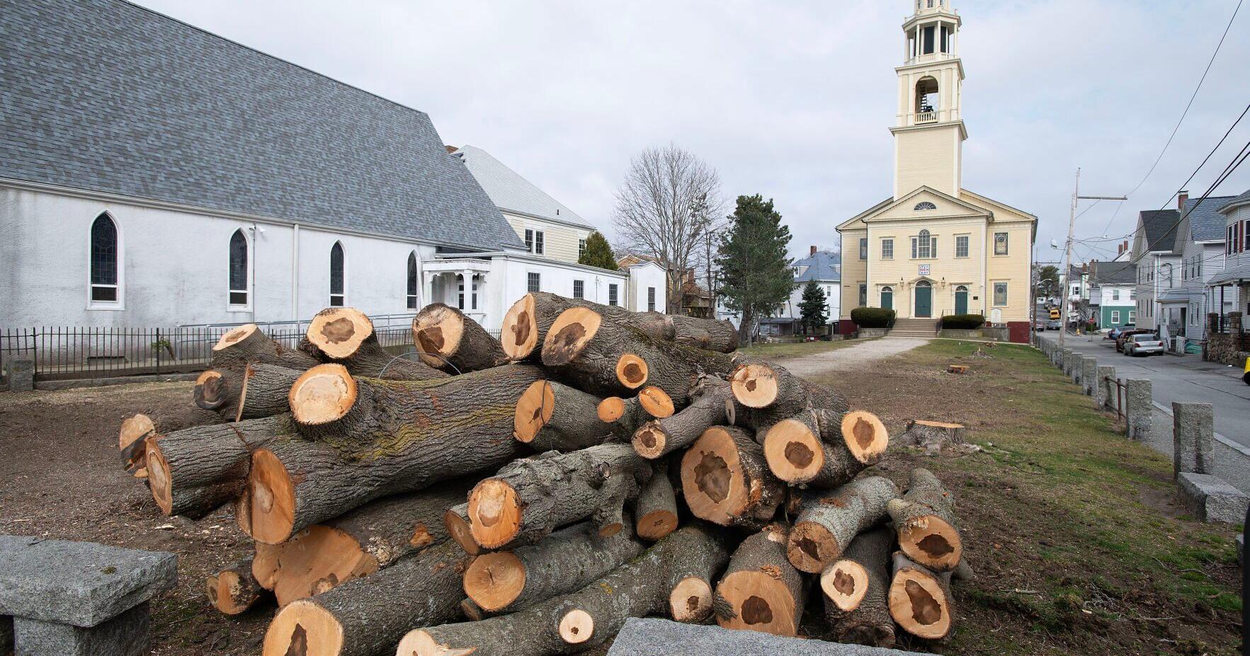 Church green's renovation raises questions about clearing trees - Vimarsana News