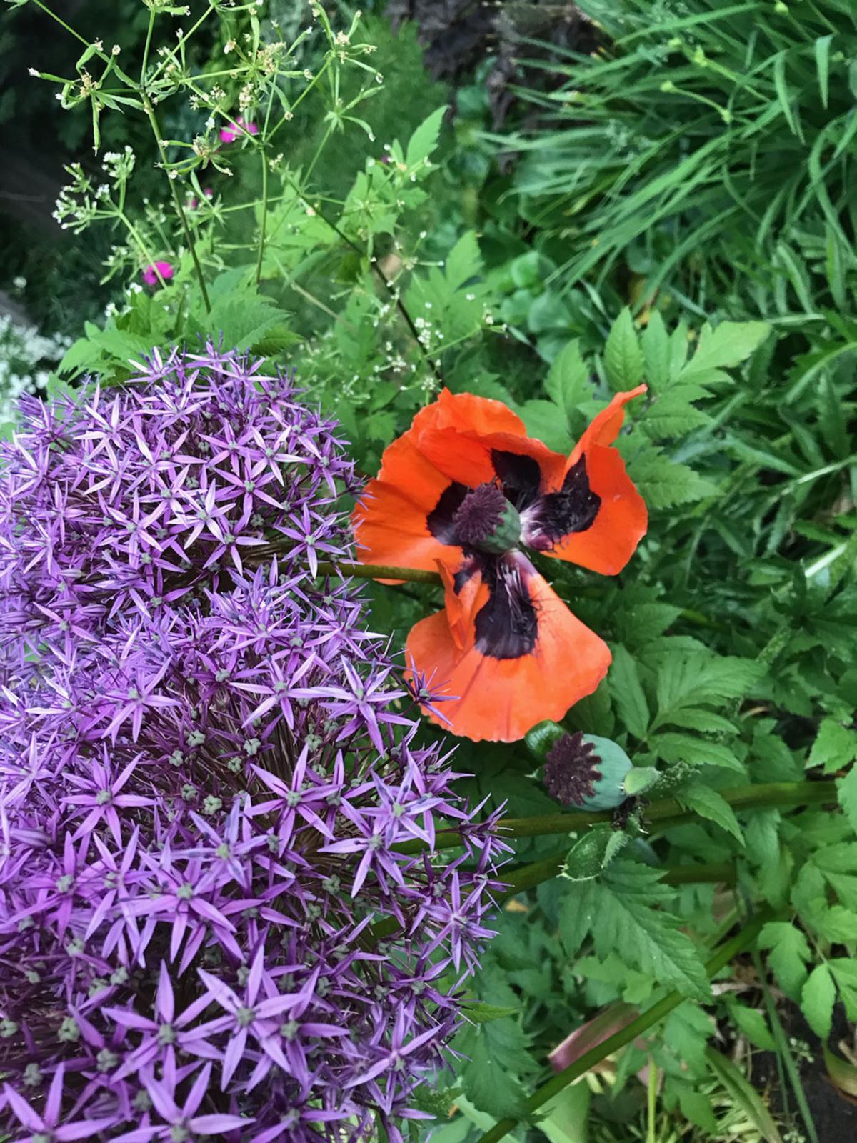 gardens_10.jpg