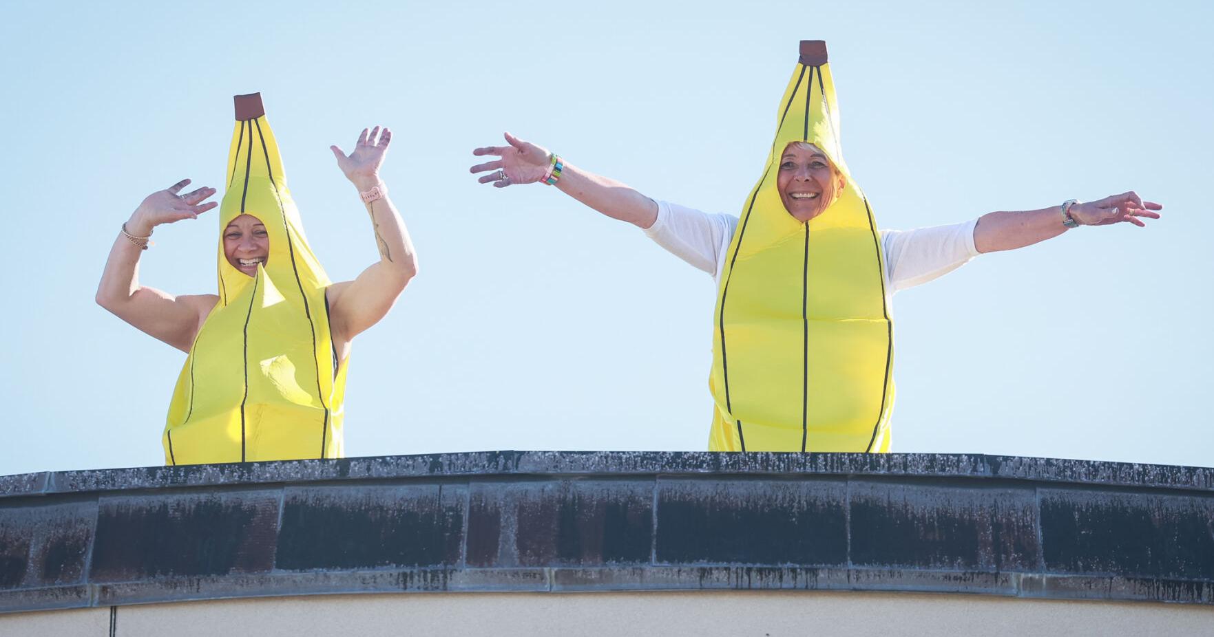 Going bananas - Vimarsana News