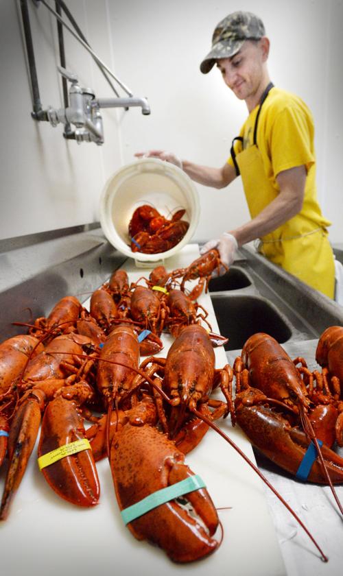 Delayed Lobster Season Keeping Prices Up Local News Newburyportnews Com