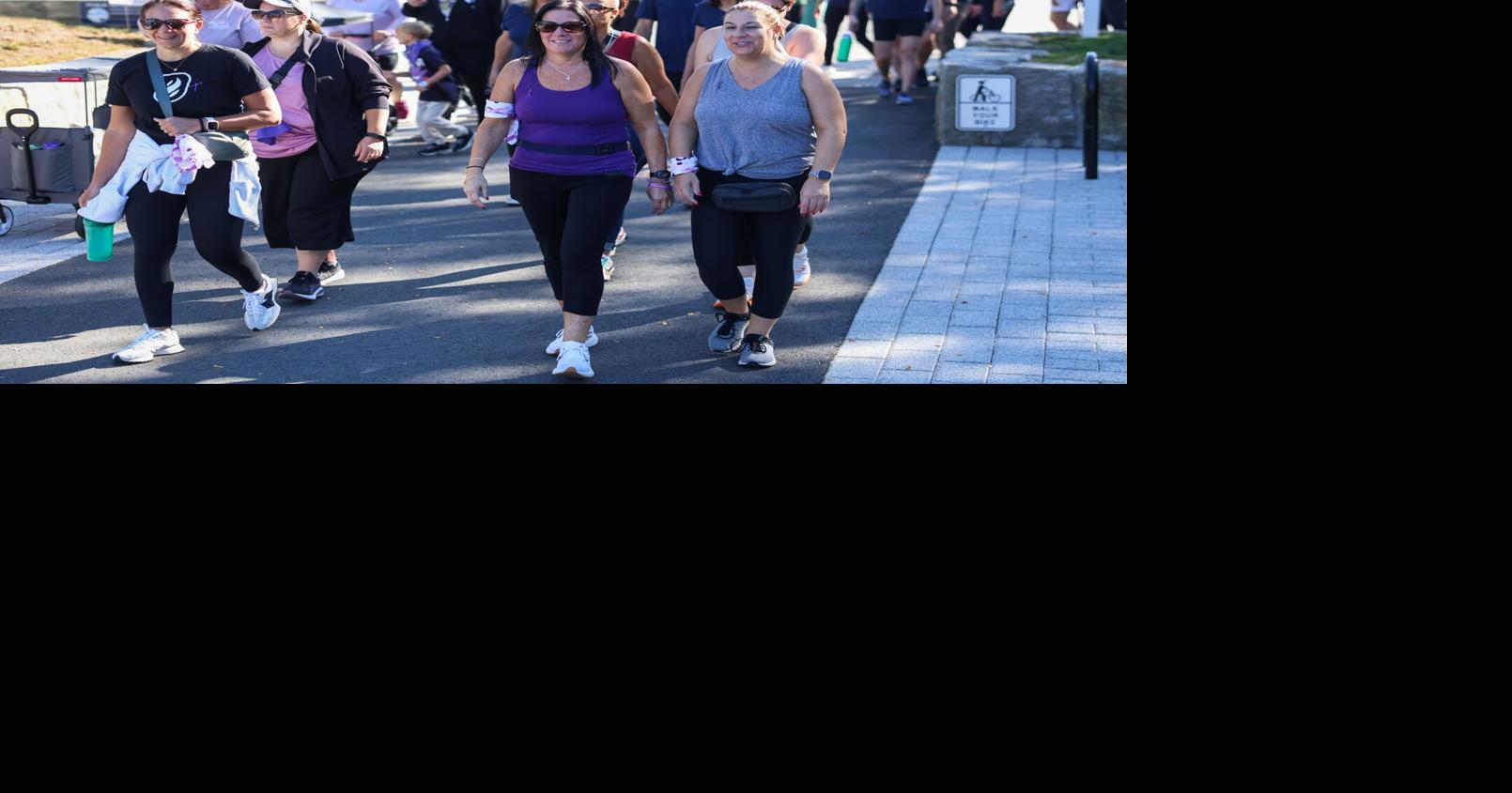 Officials: Walk Against Domestic Violence raises over $100K | Local ...