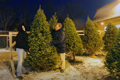 A Tree Mendous Tradition Lifestyles Newburyportnews Com