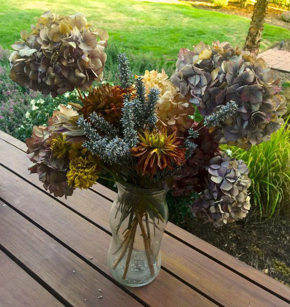 Cut and dried Preserve flowers to keep enjoying them Lifestyles