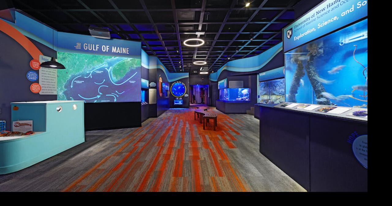 Seacoast Science Center receives excellence award Local News