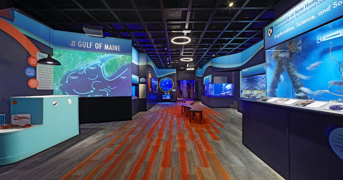 Oceanic Science Center Seacoast Science Center receives excellence award | Local News ...
