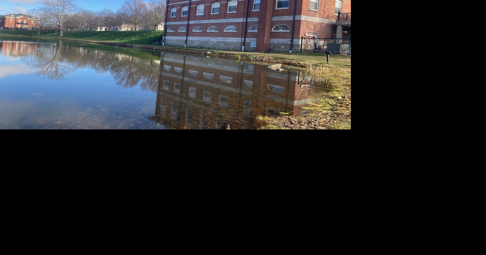 Council OKs bonds for water pump, Frog Pond projects