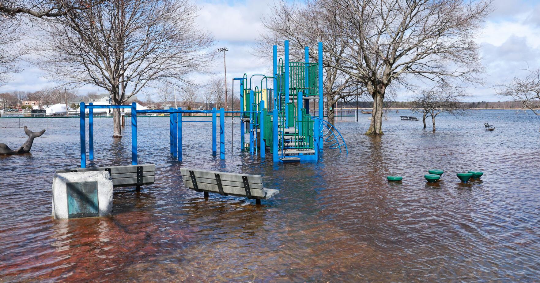 Keeping Cashman Park above water - Vimarsana News