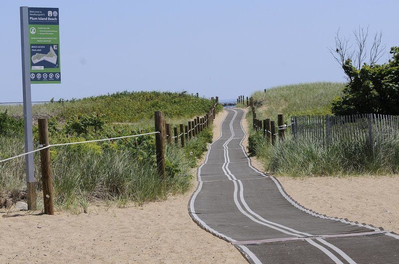 grass mats for beach