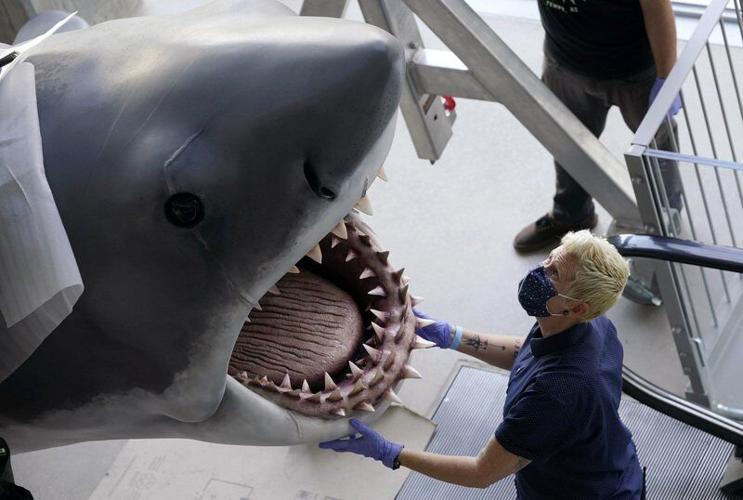 Bruce, the last 'Jaws' shark, docks at the Academy Museum, Lifestyles