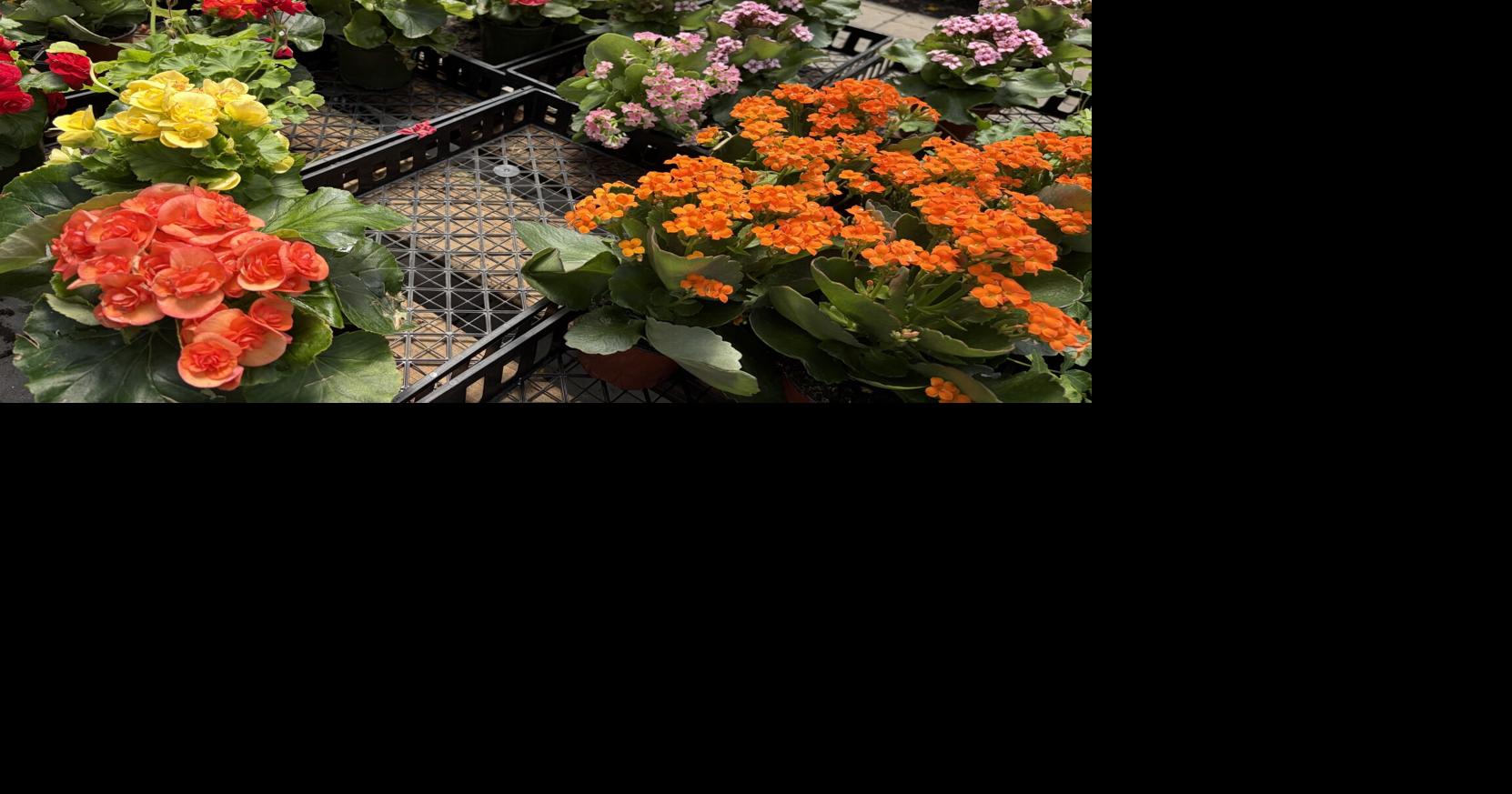 You could use a little more color