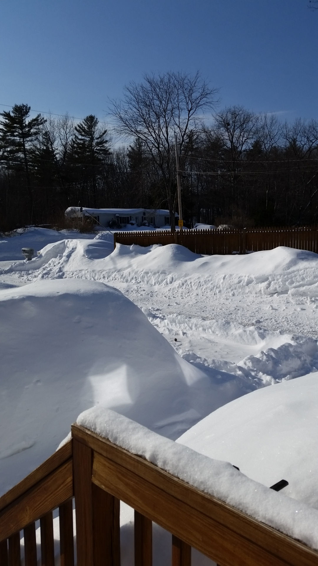Where's the fence?