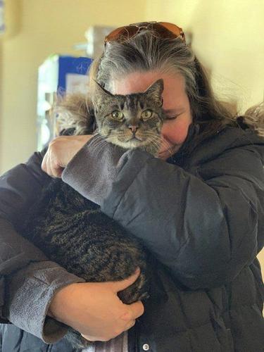 Cat returns home 5 years and 20 miles later
