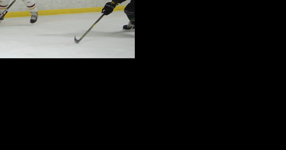 Best of the 2020s Daily News Hockey Stats