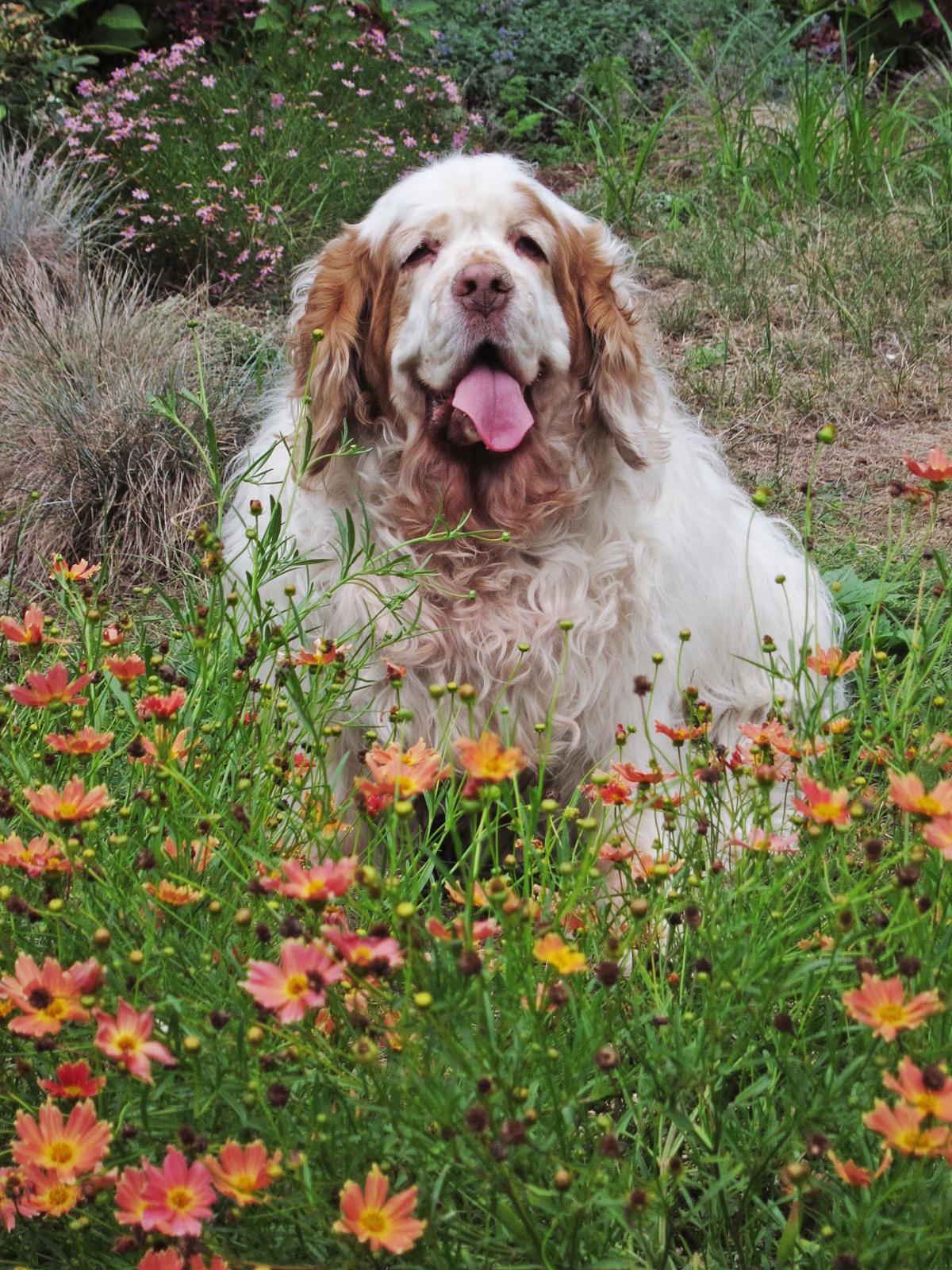 NELL.jpg