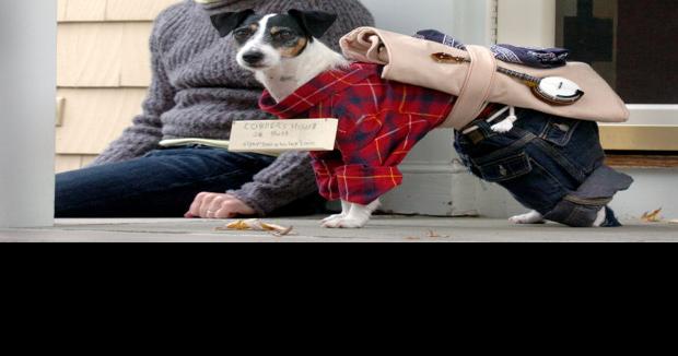 Homemade Dog Porn Lab - Canines in costume to hit streets | Local News | newburyportnews.com