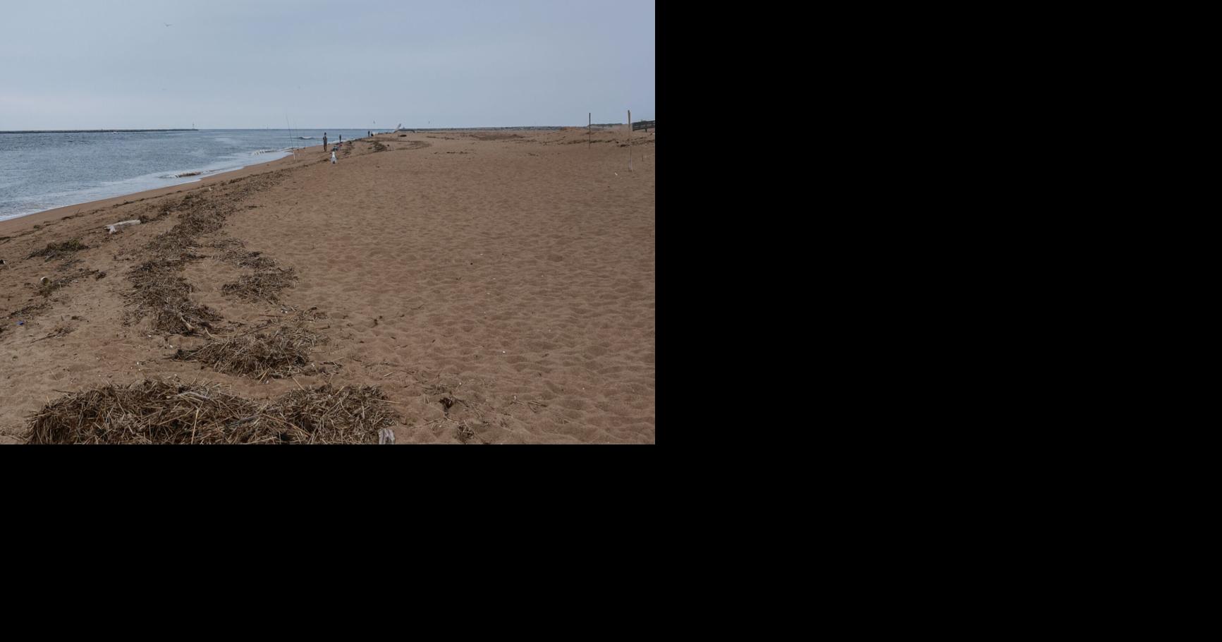 Swimming cleared at Newburyport beaches